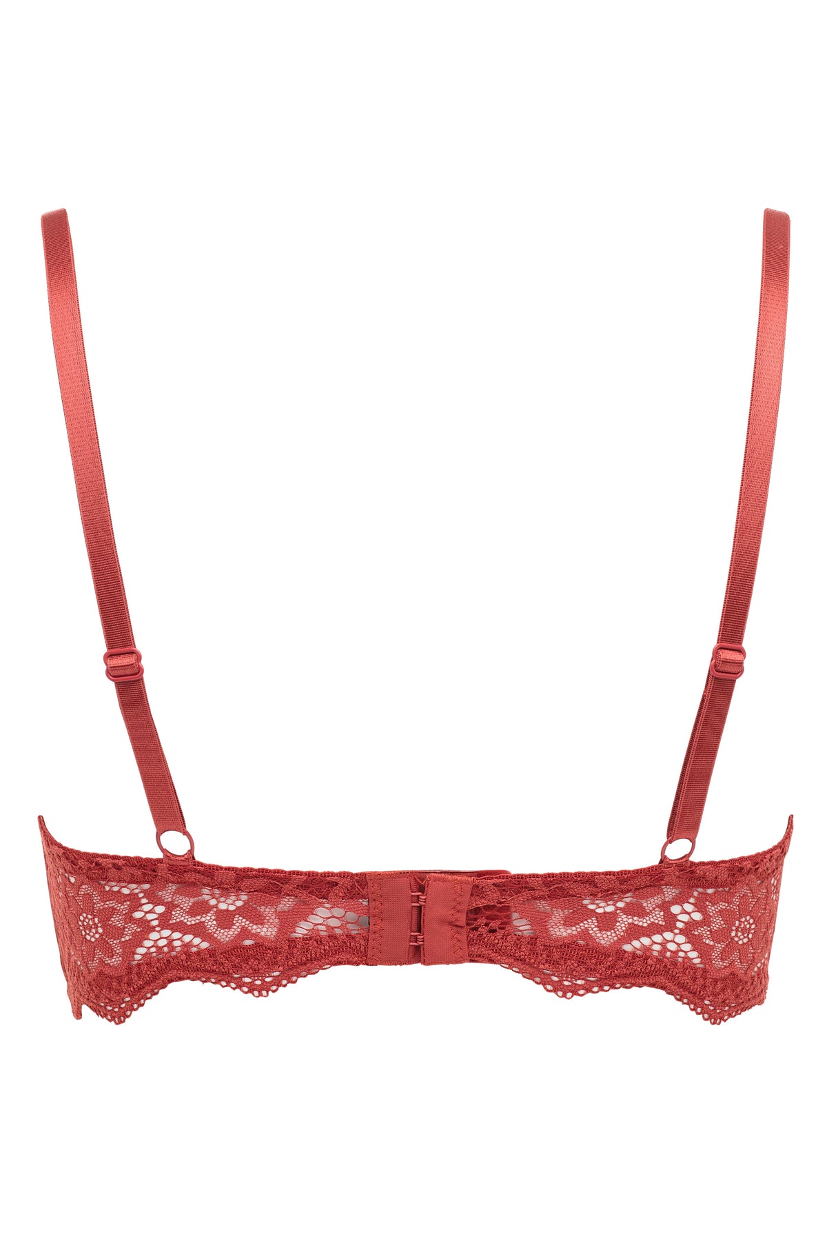 René Rofé B37896H2 Br Rene Rofe Lingerie 2 Pack Lace Push Up Bras