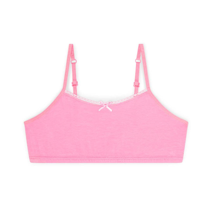 Pink bra as a part of the René Rofé Cotton Spandex Training Bras (6 Pack)