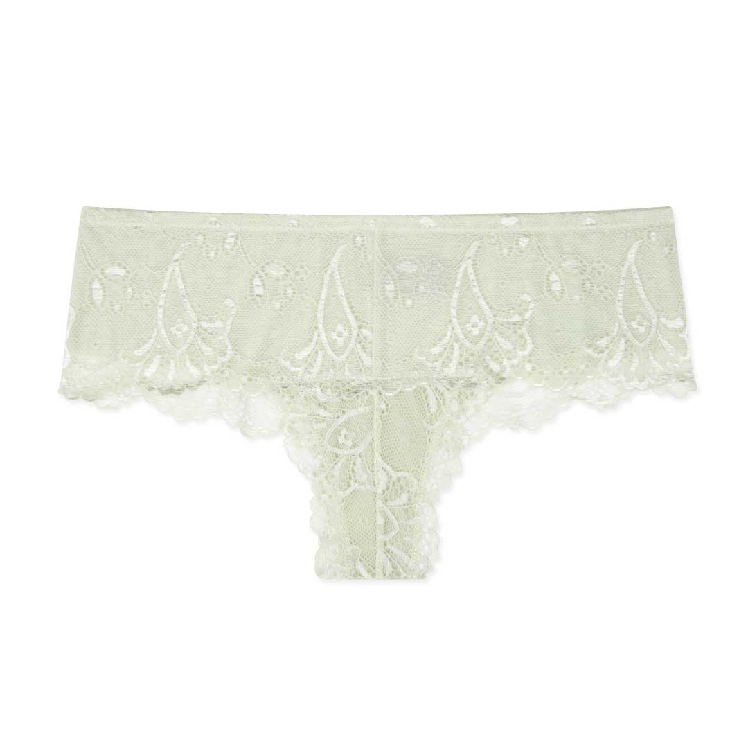René Rofé Red Carpet Ready Lace Hipster in Honeydew
